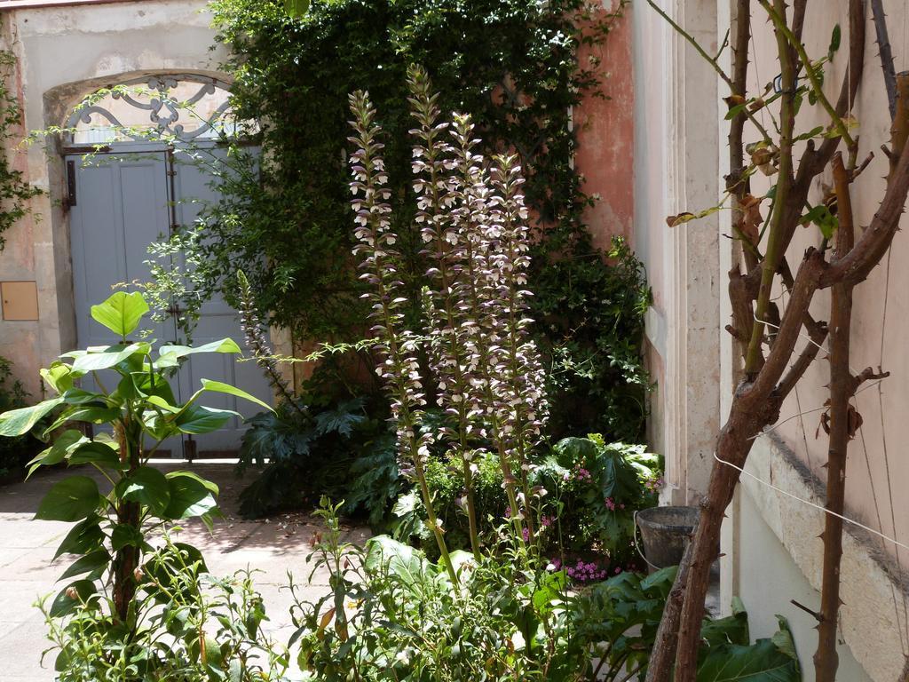 Montaut Maison Arriu住宿加早餐旅馆 外观 照片